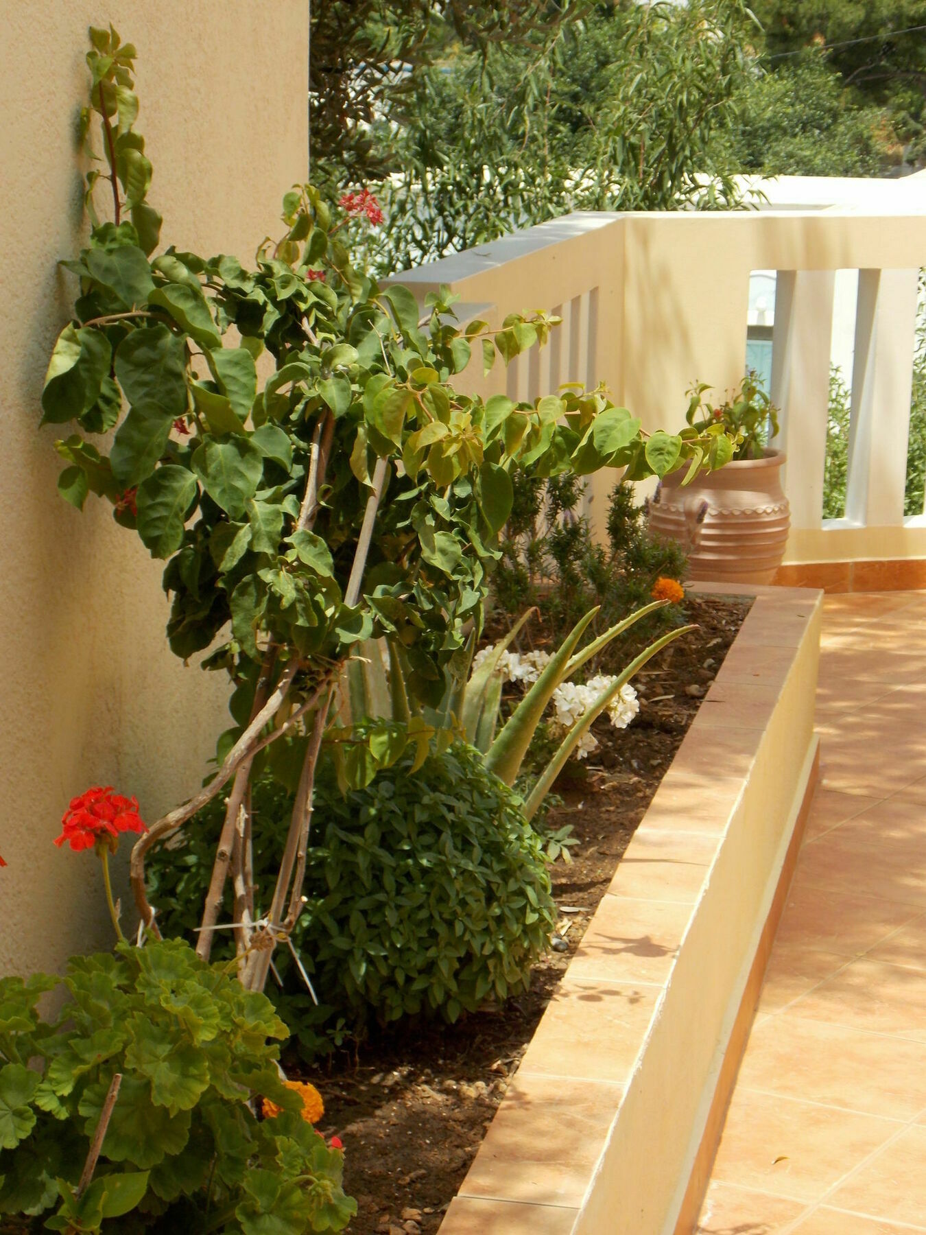 Myrties Boutique Apartments Massouri Extérieur photo